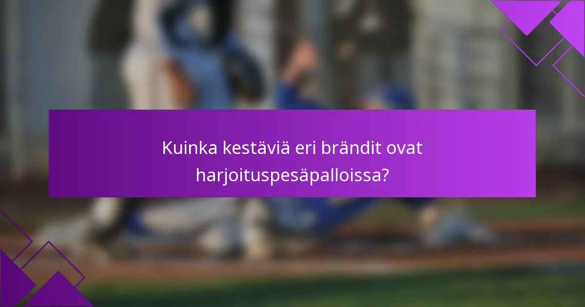 Kuinka kestäviä eri brändit ovat harjoituspesäpalloissa?