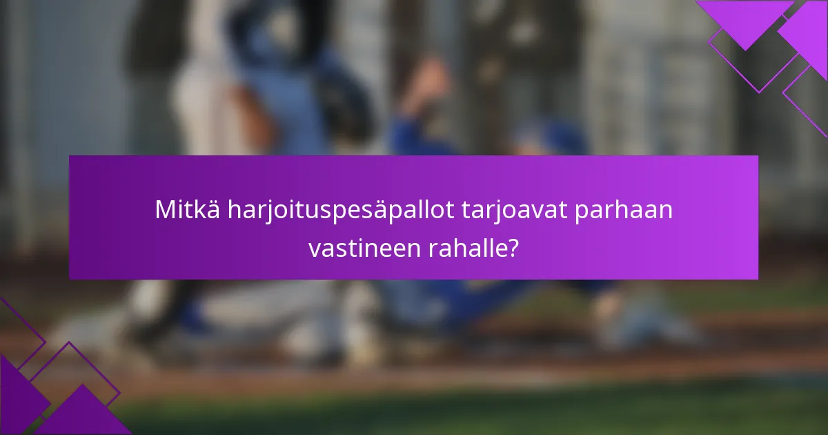 Mitkä harjoituspesäpallot tarjoavat parhaan vastineen rahalle?