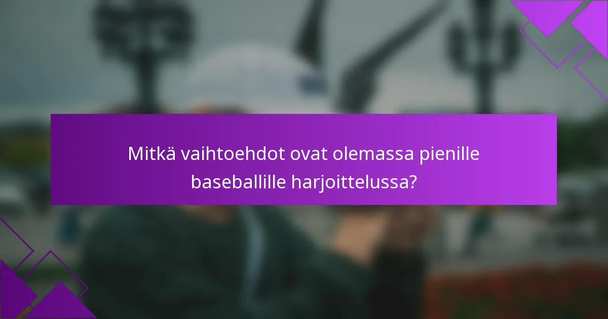 Mitkä vaihtoehdot ovat olemassa pienille baseballille harjoittelussa?